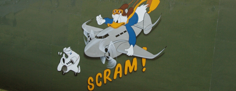 Scram! Licensed through Create Commons via Michael Pereckas - https://www.flickr.com/people/53332339@N00